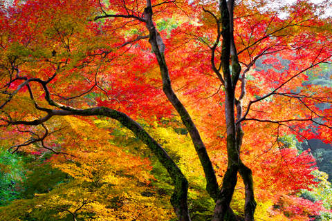 警備の仕事を始めるなら「秋口」がいい？