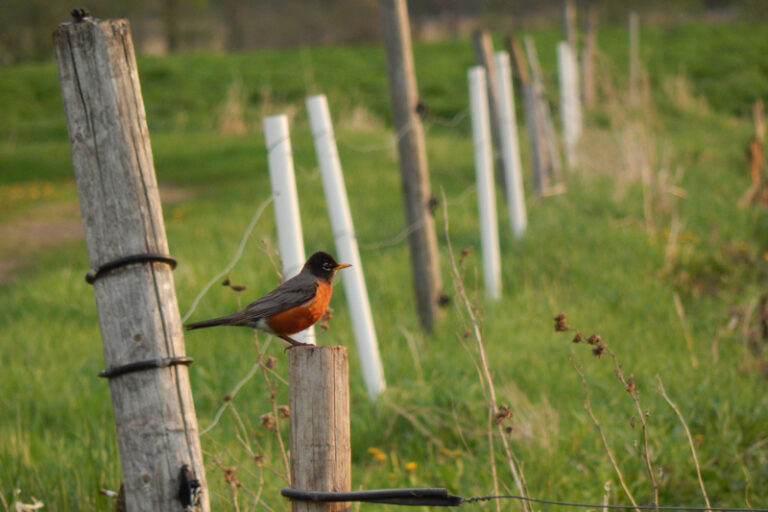 『足立の歴史編』－「支社・タウン情報」